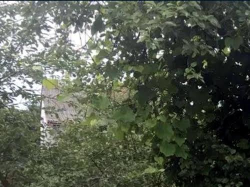дом по адресу с. Каменнополь, Старе село, 3