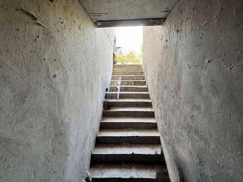 будинок за адресою жукова, 11а/1