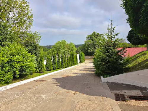 комерційна за адресою Шевченка, 1