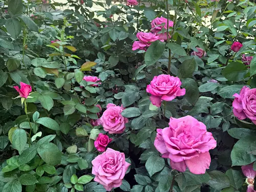 квартира за адресою Братська вул., 24