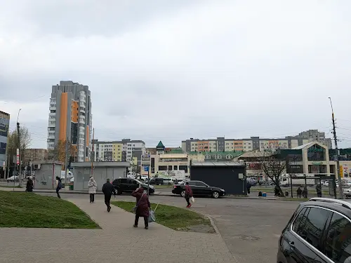 квартира за адресою Червоної Калини просп., 49