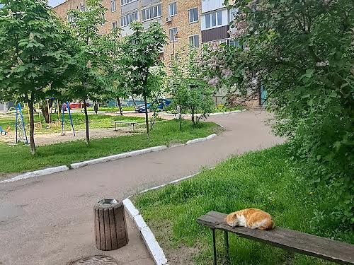 квартира за адресою Бучанське шосе, 9