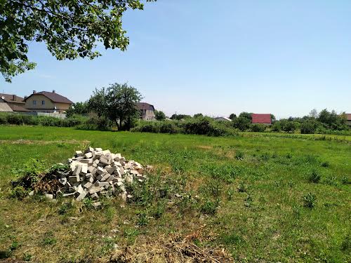 ділянка за адресою с. Спаське, 33