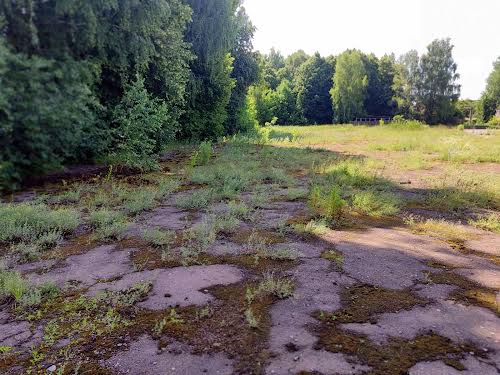 коммерческая по адресу 8 Березня, 24