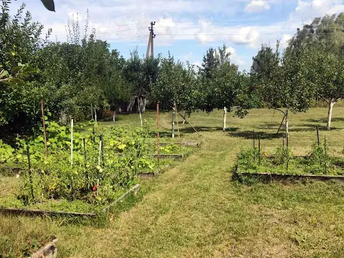 дом по адресу Киівська, 7а