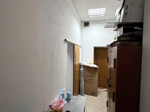 комерційна за адресою Пантелеймона Куліша вул., 24
