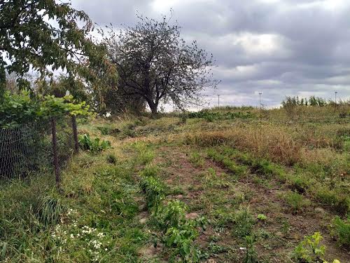будинок за адресою с. Глуховичі, Шевченка, 11