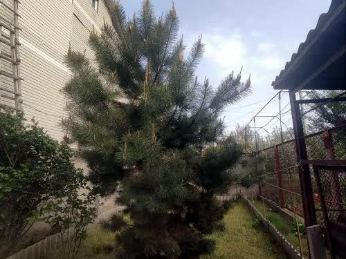 дом по адресу Розовая ул.