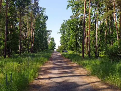 участок по адресу Лісова