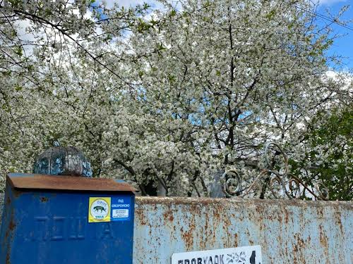 участок по адресу провулок Садовий, 1