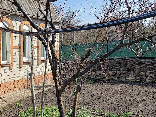 будинок за адресою медова