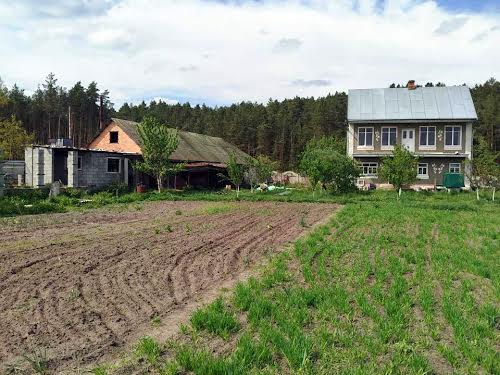 дом по адресу с. Полянь, Незалежності