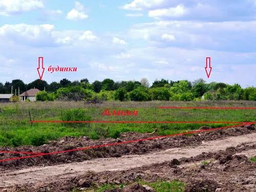 участок по адресу Борисполь, рильського, 8