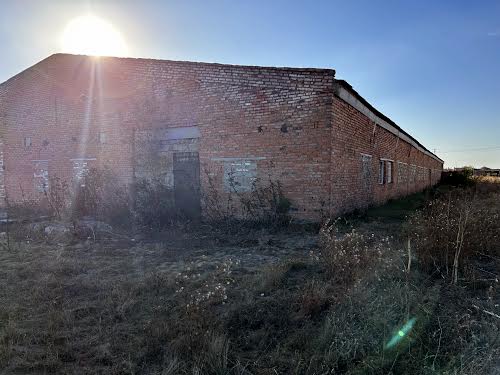 коммерческая по адресу с. Дашев, Лесі Українки, 15