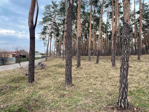 дом по адресу Ліснича ул.