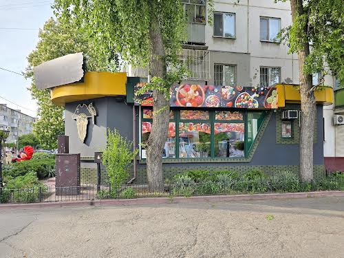 комерційна за адресою Старшого Лейтенанта Кагала вул. (Першотравнева), 49/10