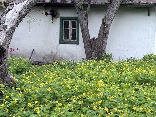будинок за адресою Садове товариство Академік, 3-Лінія, 103