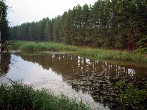 будинок за адресою с. Ровжі, Лісна