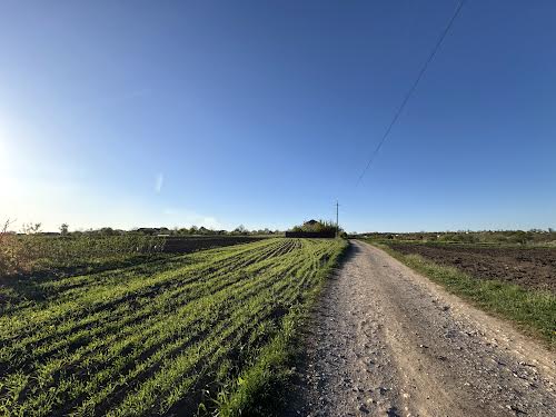 ділянка за адресою Шкільна