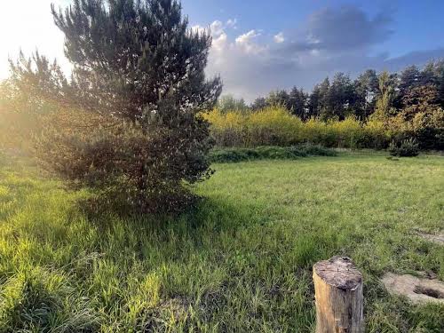 участок по адресу Игнатия Лукасевича ул., 1
