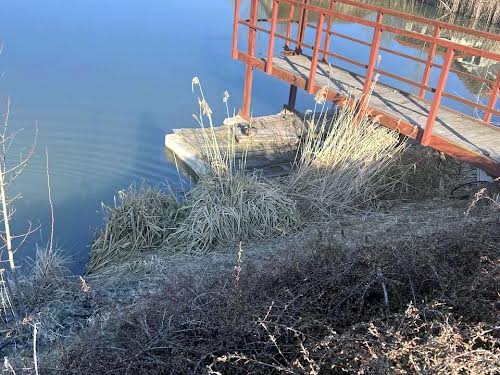 дом по адресу Дмитрия Вишневецкого ул.