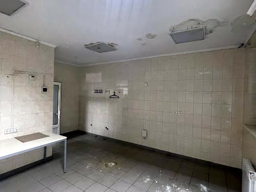 комерційна за адресою Магдалинівська вул., 1А