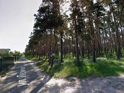 дом по адресу Ліснича ул.