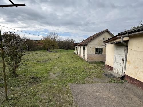 будинок за адресою Данканича Михайла