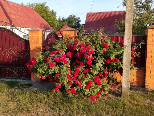 будинок за адресою Паркова вул., 1