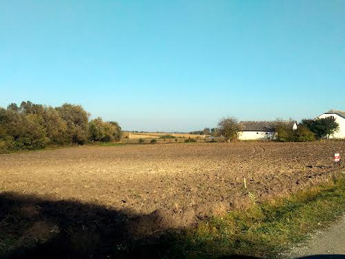 ділянка за адресою с. Озерна, Нове Село