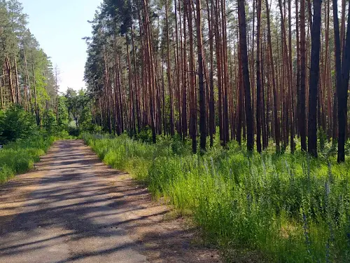 участок по адресу Лісова