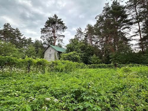 ділянка за адресою смт. Брюховичі, Шкільна вул.