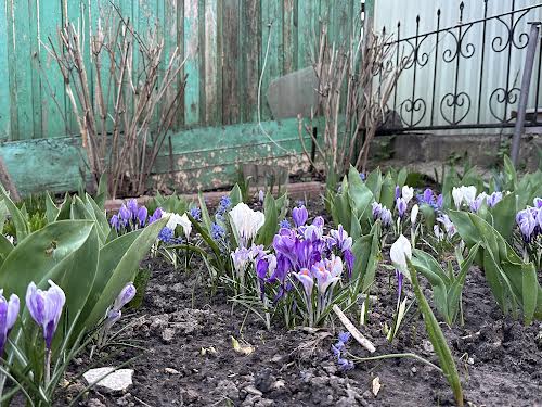 дом по адресу Киев, Гвардейская ул.