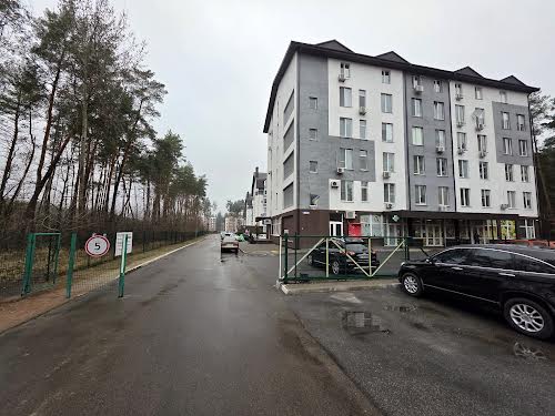 квартира за адресою Чайковського вул., 2