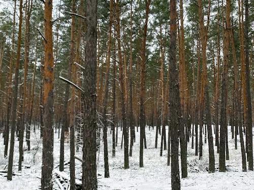 ділянка за адресою Шервудська вул.