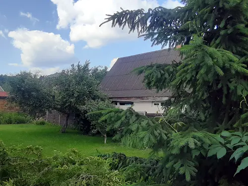 будинок за адресою Мрія