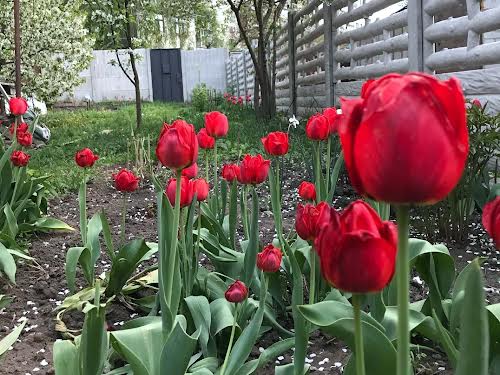 дом по адресу Новоалександровская ул.