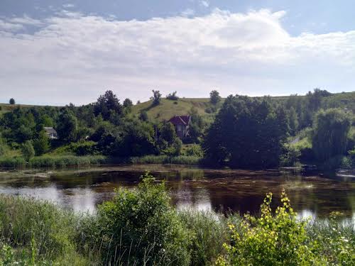 ділянка за адресою с. Велика Бугаївка, Леніна