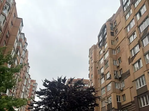 квартира по адресу Лесная ул., 50
