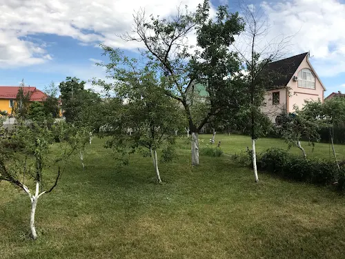 будинок за адресою Виноградна