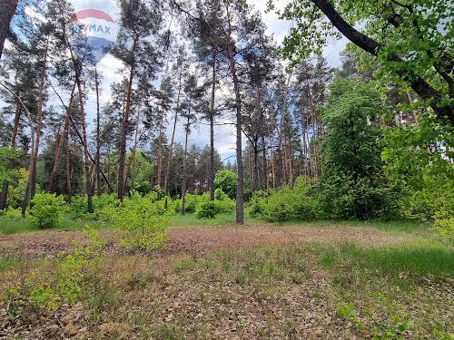 комерційна за адресою Вітряного, 21