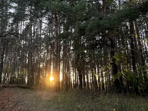 дом по адресу Васильківська, 16