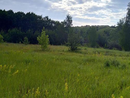 ділянка за адресою с. Велика Бугаївка, Леніна