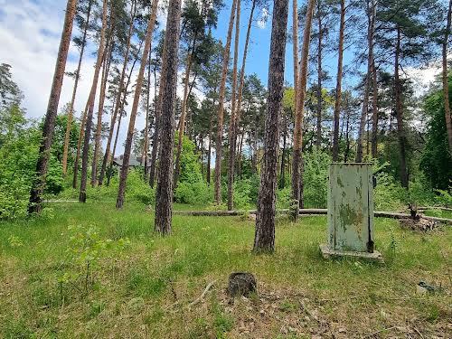 ділянка за адресою с. Лютіж, Вітряного