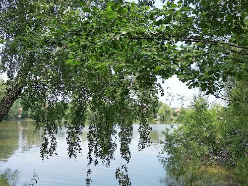 дом по адресу с. Стоянка, 1я Лінія