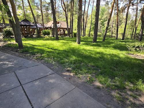 комерційна за адресою Остафія Дашкевича вул. (Курнатовського), 1-А