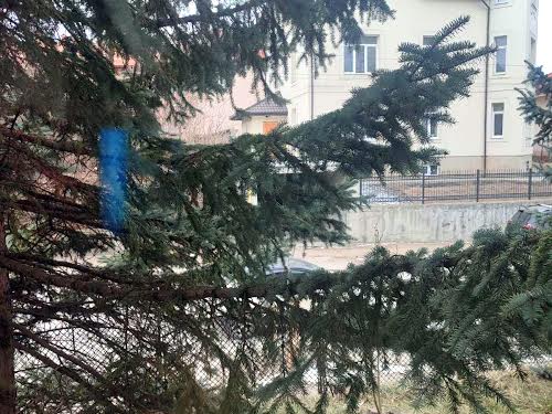 квартира по адресу Академика Рудницкого ул., 7