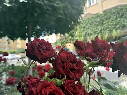 квартира по адресу Миру ул., 41