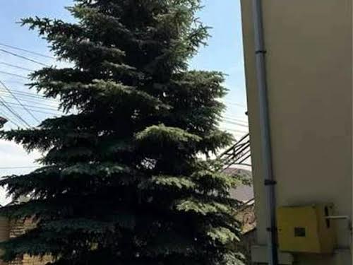 будинок за адресою Ярослава Мудрого вул.