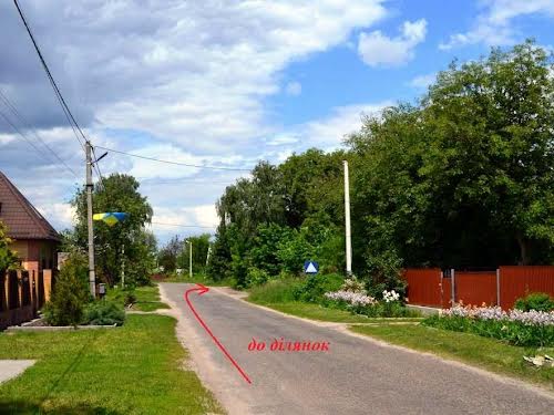 участок по адресу Борисполь, рильського, 8